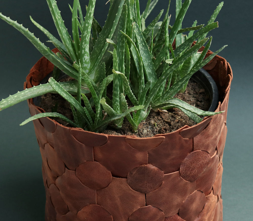 Örgü Deri Saksı Kılıfı - Roarcraft TR